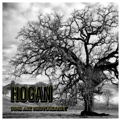 Hogan - Fine Art Photography