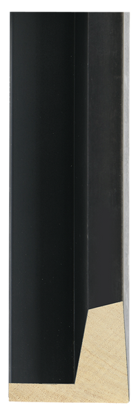 Eiffel - Pewter Custom Float Frame