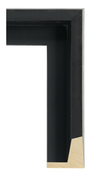 Eiffel - Pewter Custom Float Frame