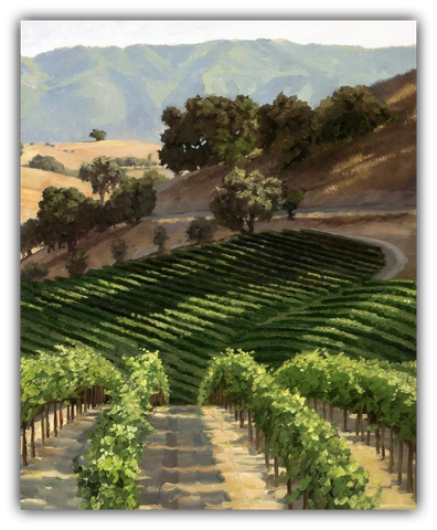 Hillside Vineyard by Susan Hoehn