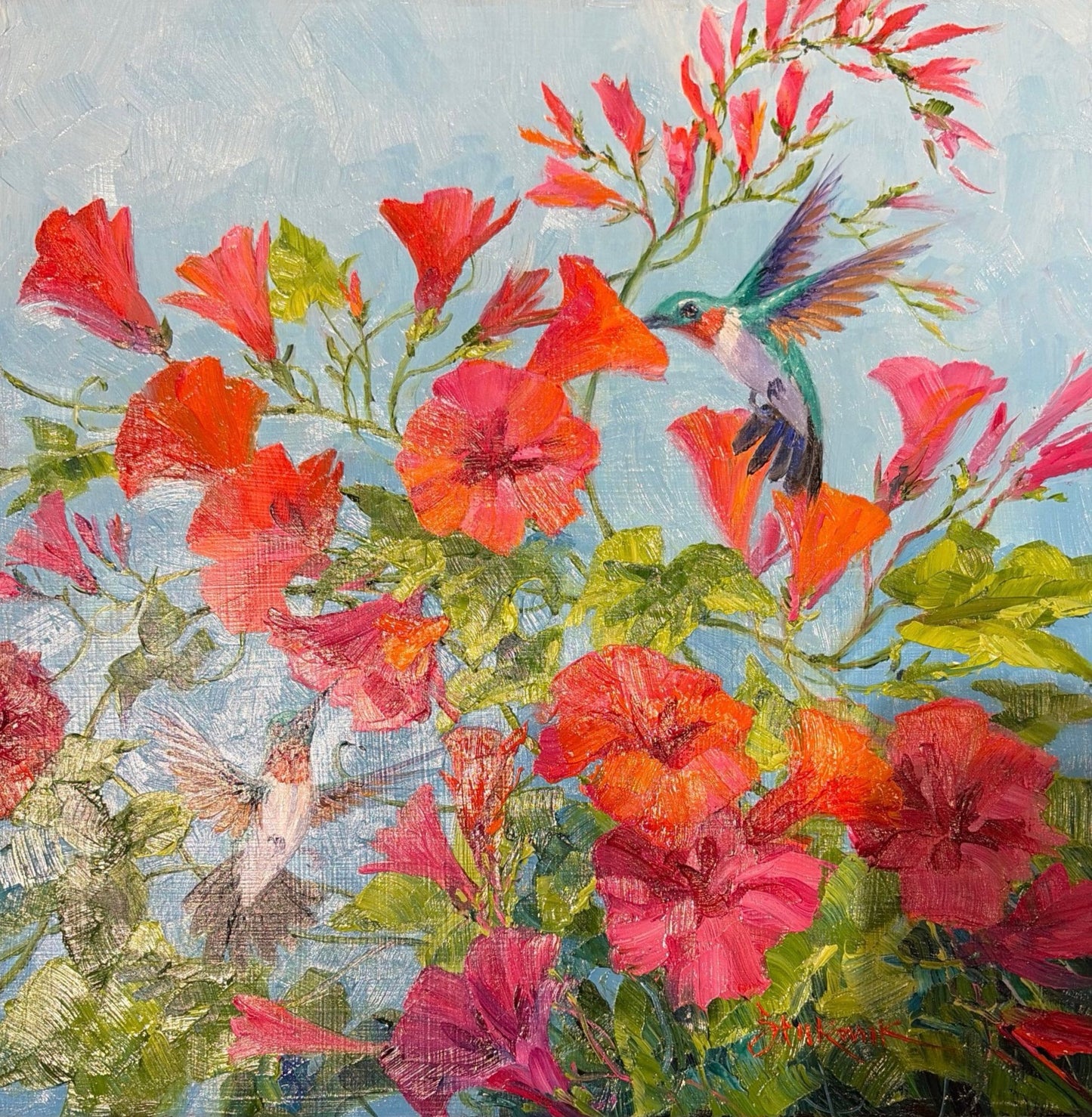 Joy Filled Garden by Mikki Senkarik, original 10x10 oil painting featuring two hummingbirds flying among vibrant pink, coral, and orange morning glory blossoms beneath a bright blue morning sky.