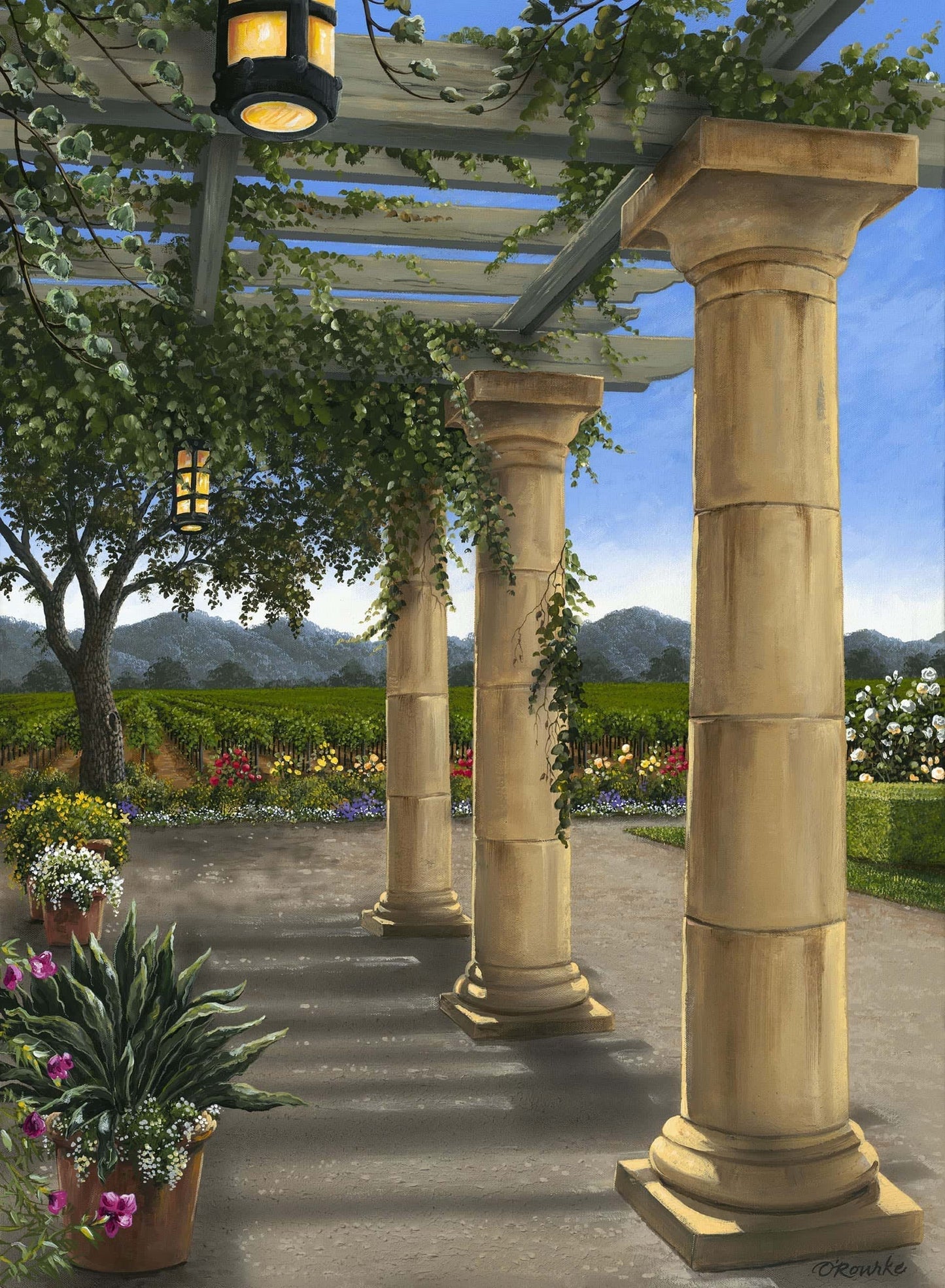 Vineyard Garden by Patrick O'Rourke