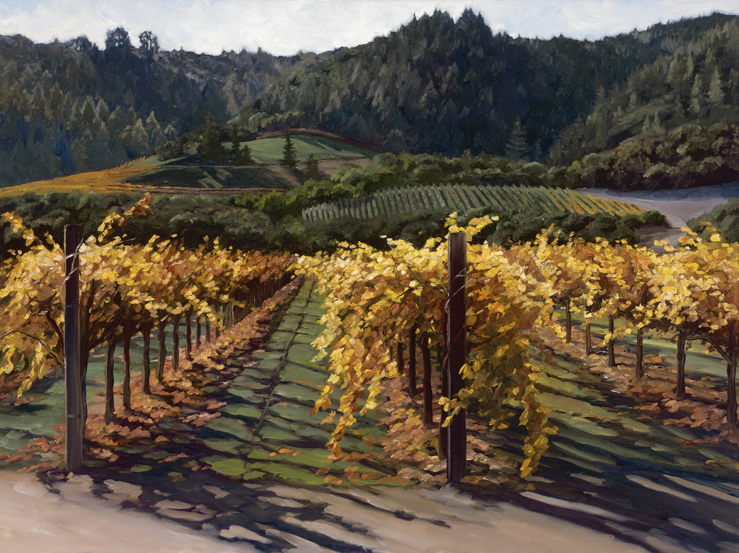 Far Niente Vineyard by Susan Hoehn