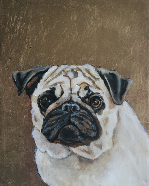 その他 PUG 1st COLOR Pug Coat and Color Varieties - HubPages
