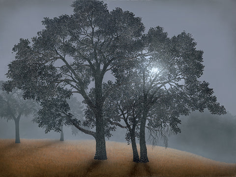 Veiled in Summer Mist - limited edition canvas prints