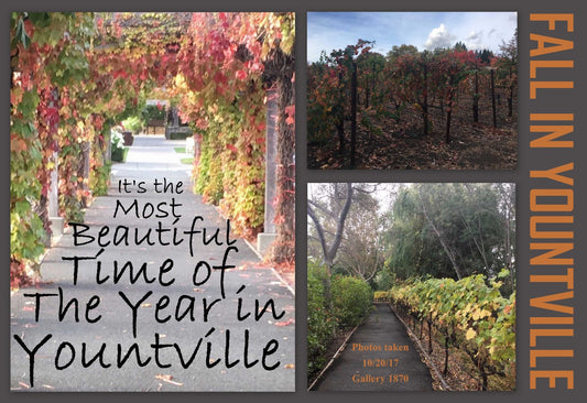 Yountville in Fall