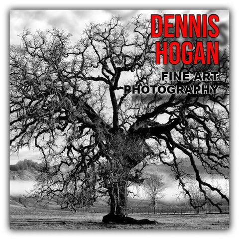 Hogan - Fine Art Photography