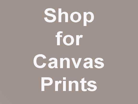 Shop Gallery 1870 Prints