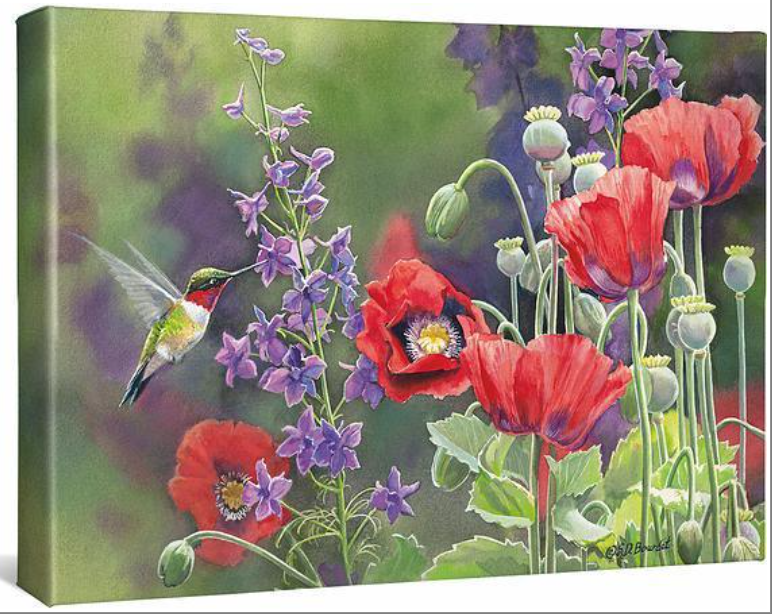 Susan Bourdet Poppies Hummingbirds gallery wrapped canvas 13 x 18 inches