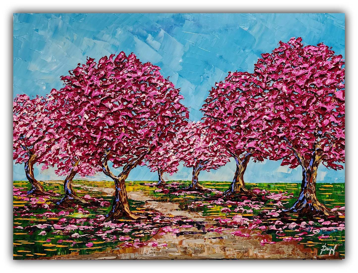 Cherry Blossoms of the Springtime Paths