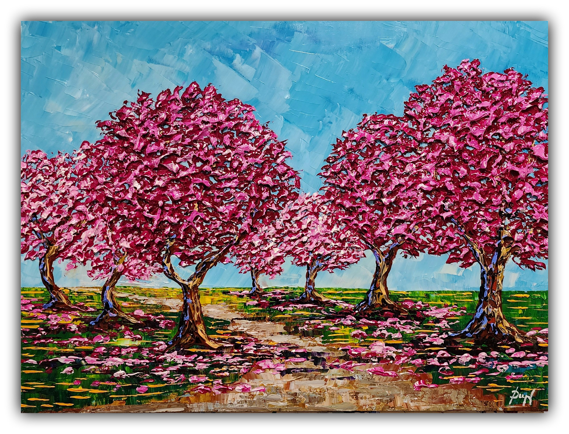 Cherry Blossoms of the Springtime Paths