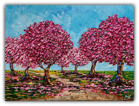 Cherry Blossoms of the Springtime Paths