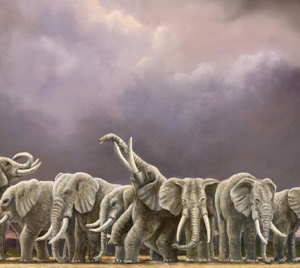 The Blessing by Robert Bissell features a herd of elephants gathering for a blessing.