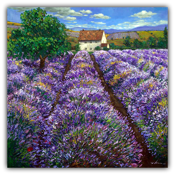 Lavender Haze limited edition giclée on canvas by Jennifer Vranes featuring rows of lavender fields leading to a country home under a bright blue sky.
