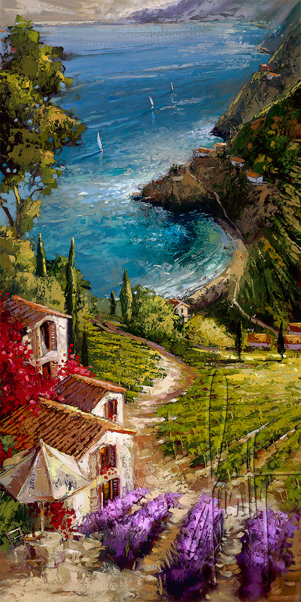 Amalfi Vineyard by Steven Quartly