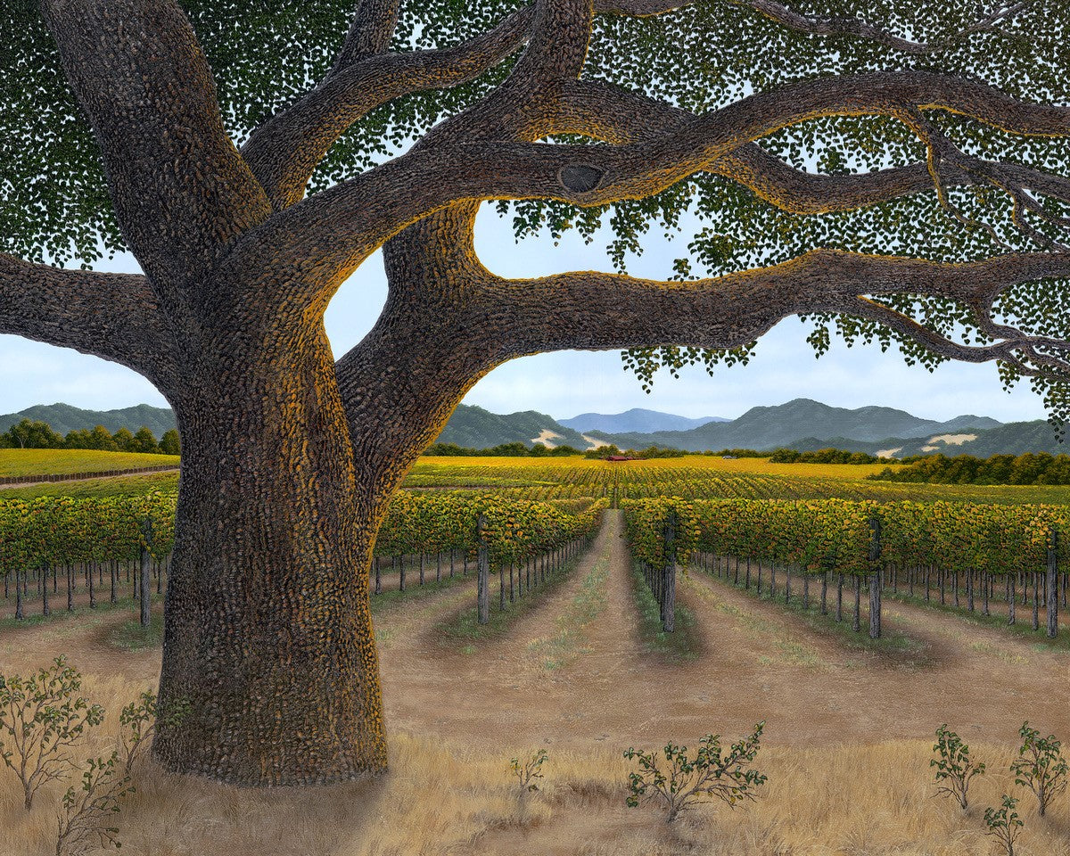 Autumn Oak original painting by Patrick O'Rourke