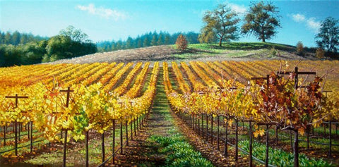 Koeppel Vineyard - Autumn's Golden Mantle 12x24" original oil