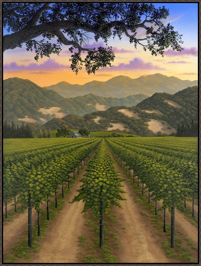 Napa Valley Vineyards by Patrick O'Rourke custom framed in Smoked Timber Float Frame