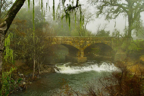 Bridge at Zinfandel Lane by Dennis Hogan