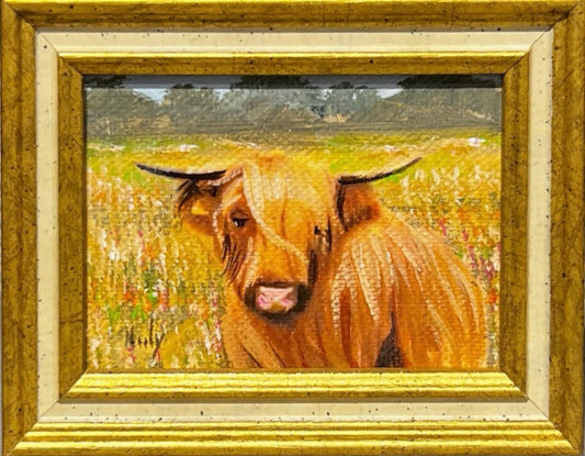 Highland cow miniature original acrylic painting by Karen Neely, framed in custom Italian molding, warm golden field scene, 3.5x4.5 inches overall