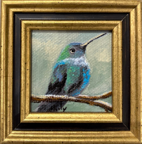 Humming Bird by Karen Neely