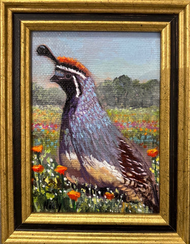 Quail by Karen Neely