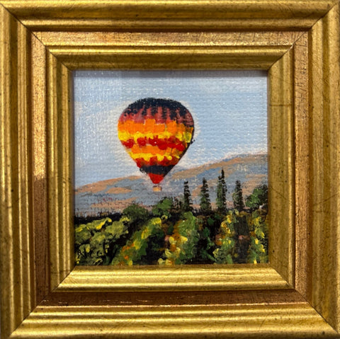 Air Balloon Vineyard by Karen Neely