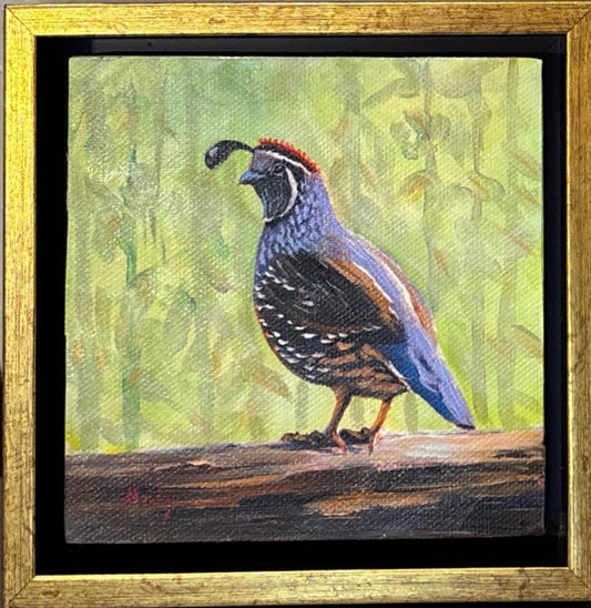 Quail Original by Karen Neely