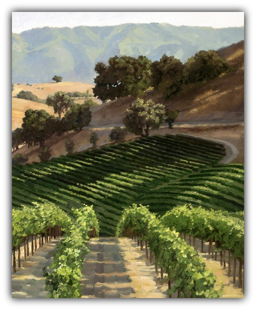 Hillside Vineyard by Susan Hoehn