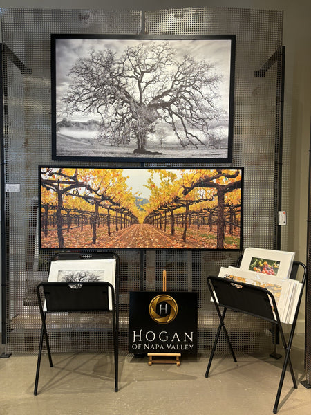 Under the Canopy - Limited Edition by Hogan