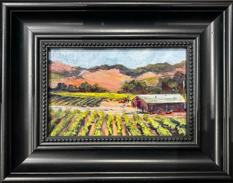 Carneros Vineyards mini original #4241