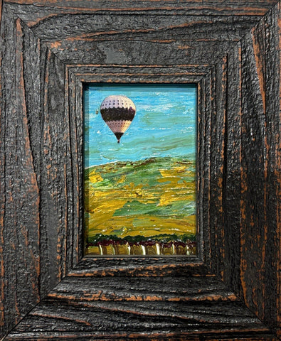Come Fly With Me - Napa Valley Balloon Day #12208