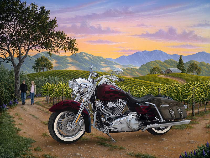 Motorcycle parked on a dirt road with a scenic background of mountains and vineyards.