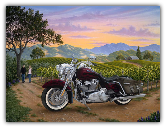 Motorcycle parked on a dirt road with a scenic background of mountains and vineyards.