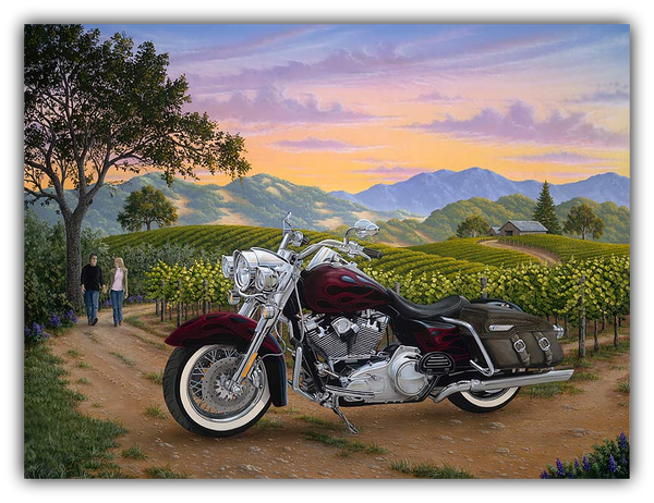 Motorcycle parked on a dirt road with a scenic background of mountains and vineyards.