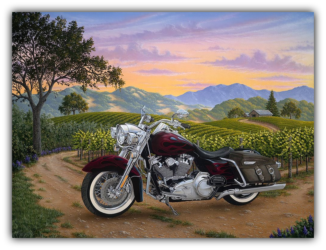 Motorcycle parked on a dirt road with a scenic background of mountains and vineyards.