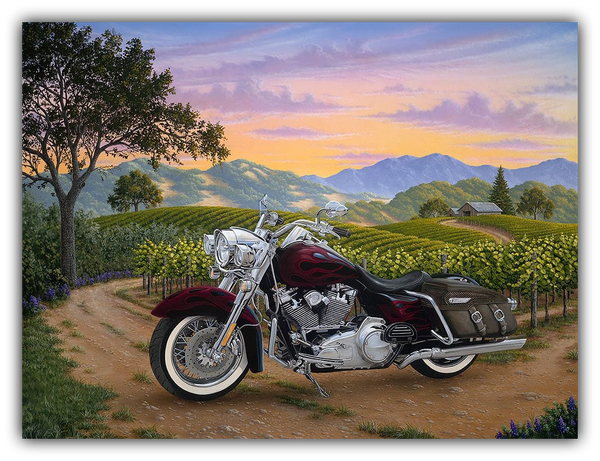 Motorcycle parked on a dirt road with a scenic background of mountains and vineyards.