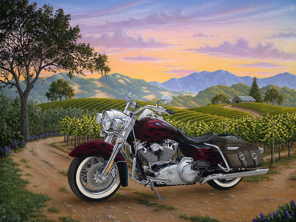 Motorcycle parked on a dirt road with a scenic background of mountains and vineyards.