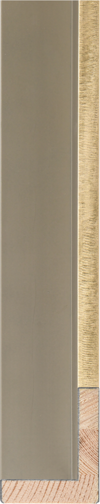 Metalia Gold Float Frame – 2 Inch Width Modern Gold Float Frame by Larson-Juhl