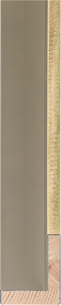 Metalia Gold Float Frame – 2 Inch Width Modern Gold Float Frame by Larson-Juhl