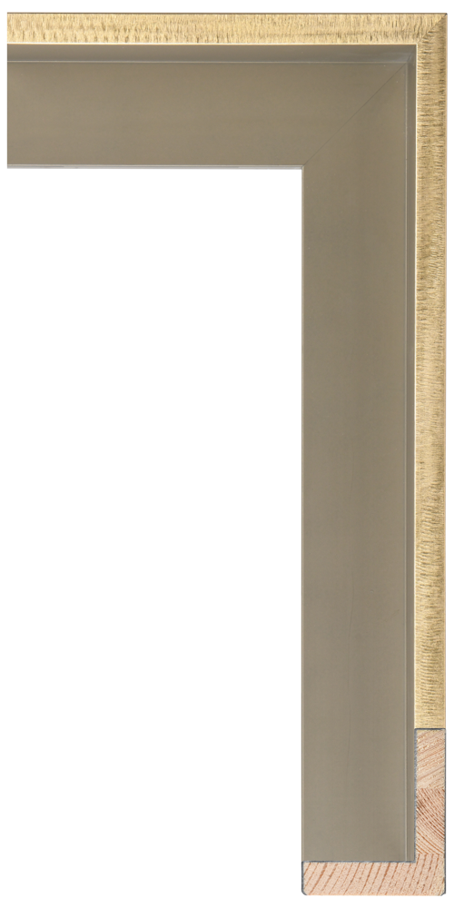 Metalia Gold Float Frame – 2 Inch Width Modern Gold Float Frame by Larson-Juhl