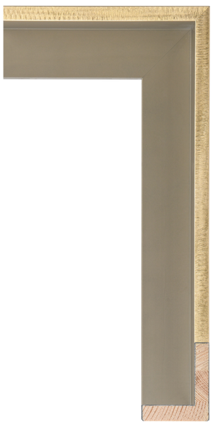 Metalia Gold Float Frame – 2 Inch Width Modern Gold Float Frame by Larson-Juhl