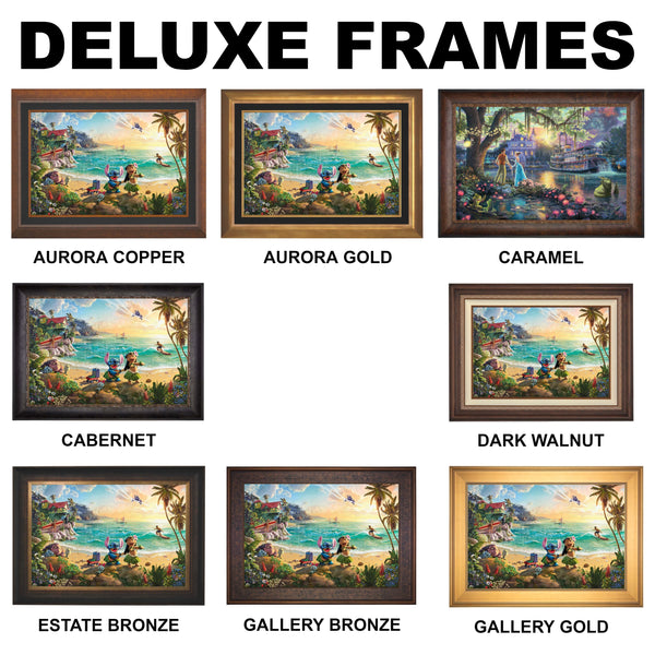 Disney The Princess and the Frog Deluxe Frames