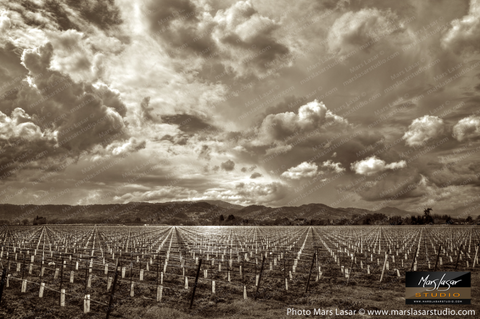 "Angels Territory" by Mars Lasar