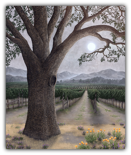 Silver Oak Ambiance painting of Napa Valley by Patrick O'Rourke