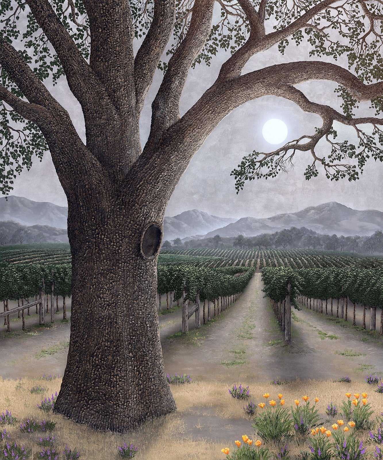 Silver Oak Ambiance painting of Napa Valley by Patrick O'Rourke