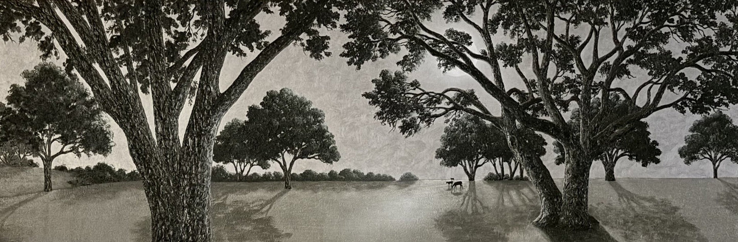 A Walk in the Park by Patrick O'Rourke