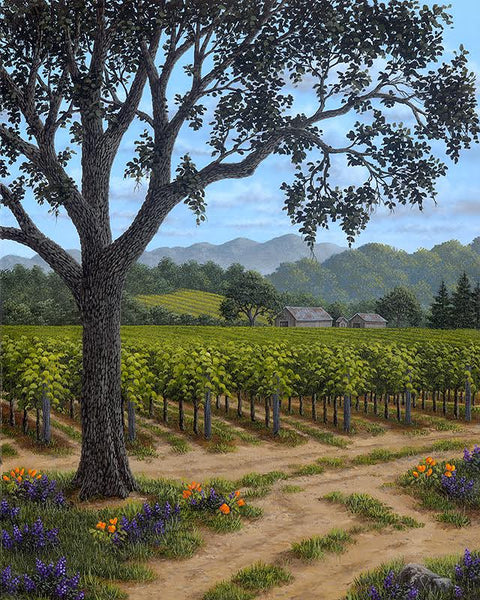 Spring in Napa - Limited Edition by Patrick O'Rourke
