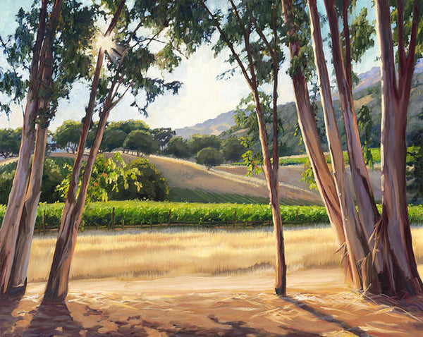 Sunlight Through the Trees - Limited Edition artwork by Susan Hoehn