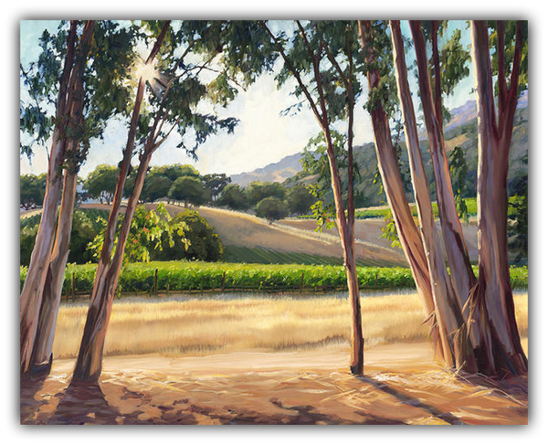 Sunlight Through the Trees - Limited Edition artwork by Susan Hoehn